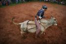 Seleção de Peões para Rodeio Poseidon Eventos 23-11-2013-37