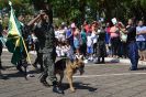 Desfile Cívico em Itápolis - 31/08 - Gal2-327