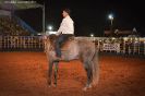 Tabatinga Rodeio Show 2014-17
