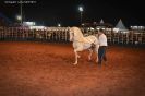 Tabatinga Rodeio Show 2014-53