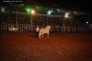 Tabatinga Rodeio Show 2014-55