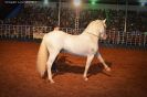 Tabatinga Rodeio Show 2014-58