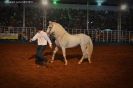 Tabatinga Rodeio Show 2014-67