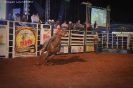 Tabatinga Rodeio Show 2014-22