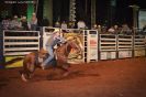 Tabatinga Rodeio Show 2014-24
