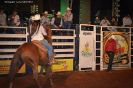 Tabatinga Rodeio Show 27-04-2014