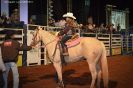 Tabatinga Rodeio Show 2014-37