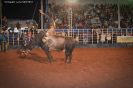 Tabatinga Rodeio Show 2014-64