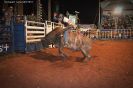 Tabatinga Rodeio Show 2014-76