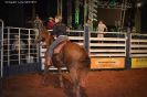 Tabatinga Rodeio Show 2014-8
