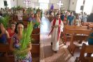 Benção dos Ramos Lar São José 29-03