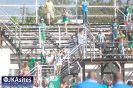 Fotos da Torcida Oeste x Guarani 14-02-2015-80