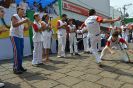 Galeria 1 - Desfile do Dia da Independência do Brasil -396