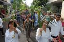 Itápolis - Procissão dos Ramos - 29-03-2
