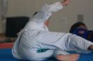 Exame de Faixa Jiu-Jitsu Cracie Barra - Itápolis-116