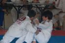 Exame de Faixa Jiu-Jitsu Cracie Barra - Itápolis-15