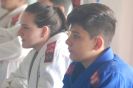 Exame de Faixa Jiu-Jitsu Cracie Barra - Itápolis-51