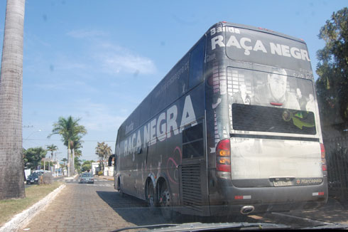 raca-negra