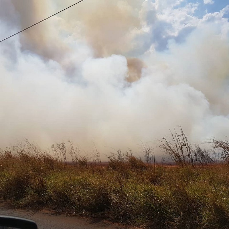 Em Itápolis, queimada atrapalha motoristas na Tarquinio Belentani. Foto: Fernanda Ortega